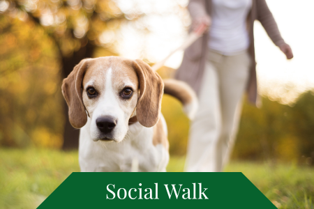 Social Walk Social Walk