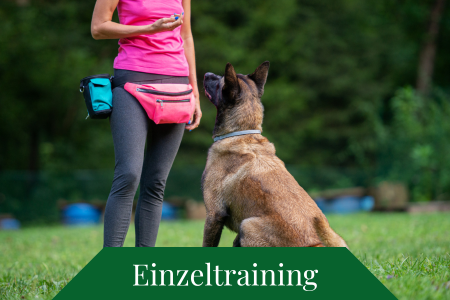 Hundetraining Hundetraining