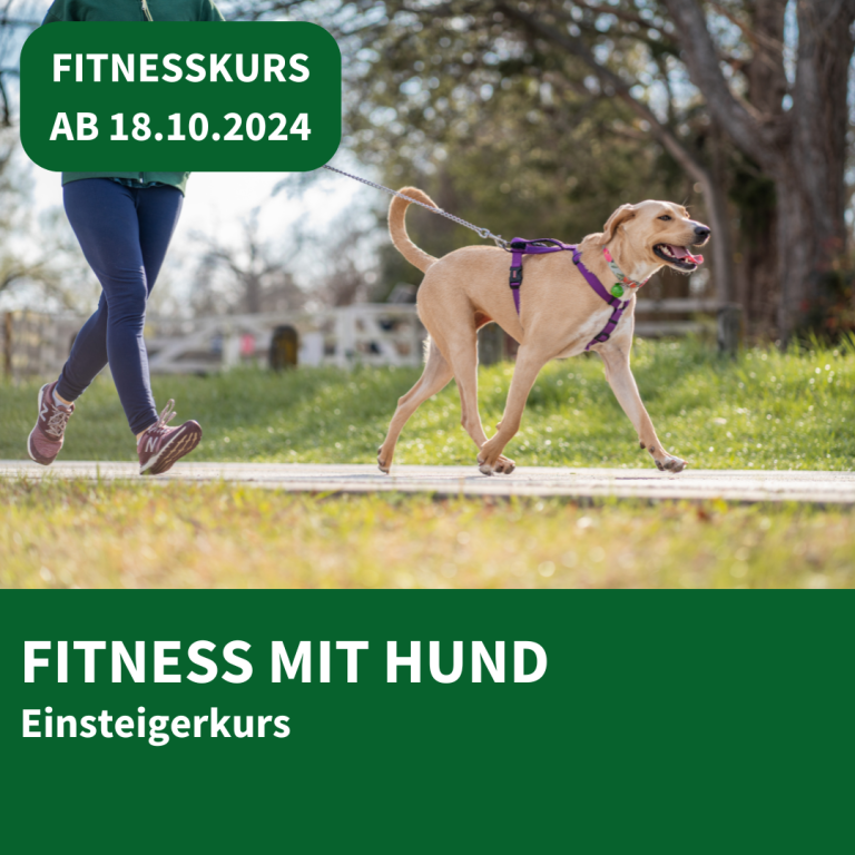 Outdoor Dogs Andrea Beddies | mobile Hundeschule | Hundetraining